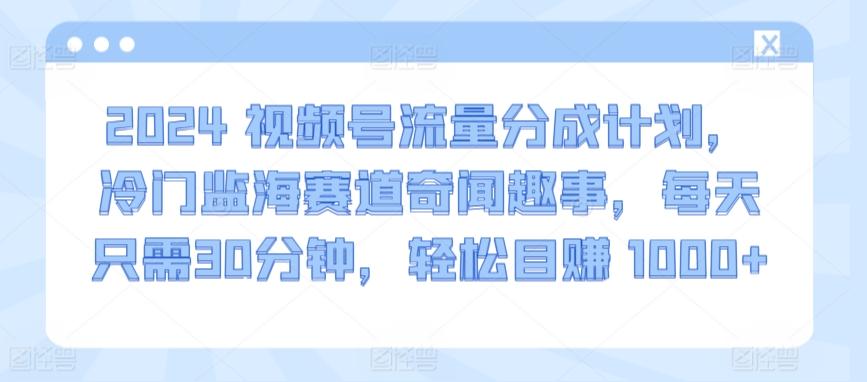2024视频号流量分成计划，冷门监海赛道奇闻趣事，每天只需30分钟，轻松目赚 1000+【揭秘】-搞个副业