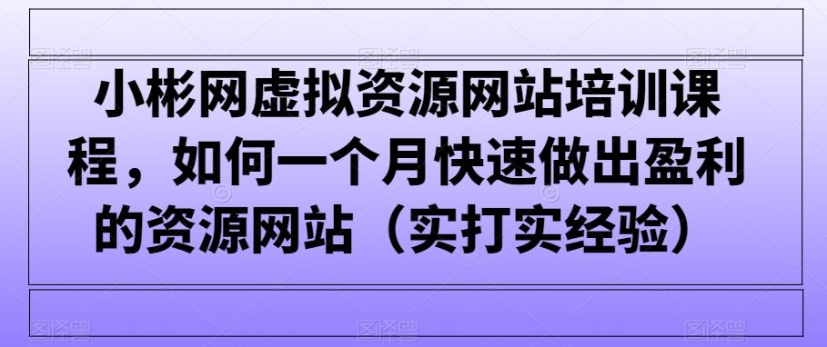 小彬网虚拟资源网站培训课程，如何一个月快速做出盈利的资源网站(实打实经验)-搞个副业