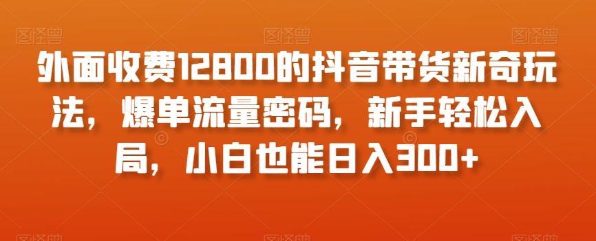 外面收费12800的抖音带货新奇玩法，爆单流量密码，新手轻松入局，小白也能日入300+【揭秘】-搞个副业