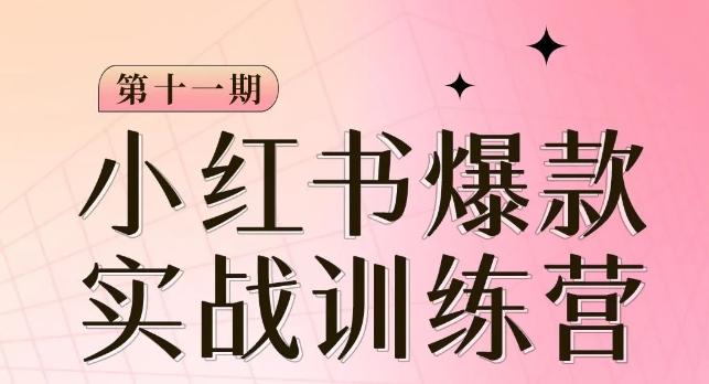 小红书博主爆款训练营第11期，手把手教你从0-1做小红书，从定位到起号到变现-搞个副业