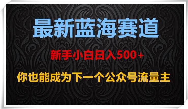 最新蓝海赛道，新手小白日入500+，你也能成为下一个公众号流量主【揭秘】-搞个副业