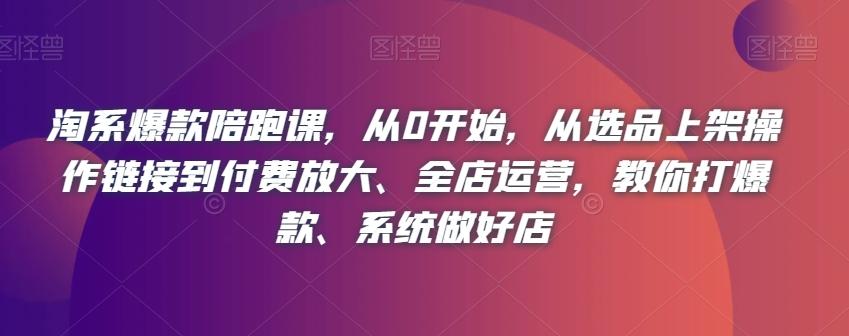 淘系爆款陪跑课，从0开始，从选品上架操作链接到付费放大、全店运营，教你打爆款、系统做好店-搞个副业