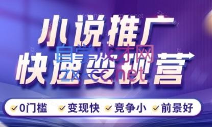洲洲老师·小说推广快速变现营-搞个副业