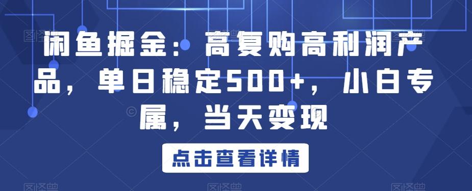 闲鱼掘金：高复购高利润产品，单日稳定500+，小白专属，当天变现-搞个副业