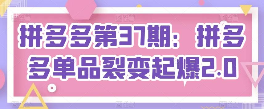 拼多多第37期：拼多多单品裂变起爆2.0-搞个副业
