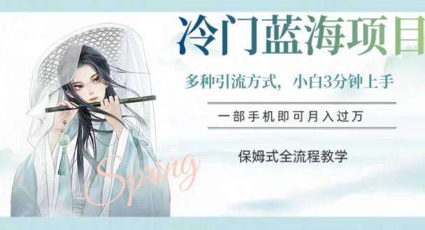 冷门蓝海项目，操作简单，小白3分钟上手，多种引流方式，保姆式全流程教学【揭秘】-搞个副业
