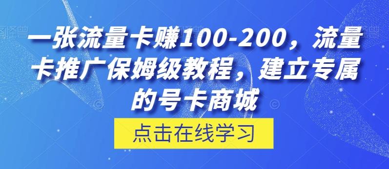 一张流量卡赚100-200，流量卡推广保姆级教程，建立专属的号卡商城-搞个副业