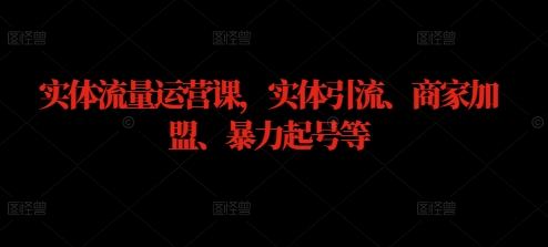 实体流量运营课，实体引流、商家加盟、暴力起号等-搞个副业