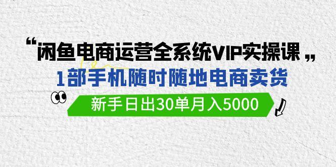 (9547期)闲鱼电商运营全系统VIP实战课，1部手机随时随地卖货，新手日出30单月入5000-搞个副业