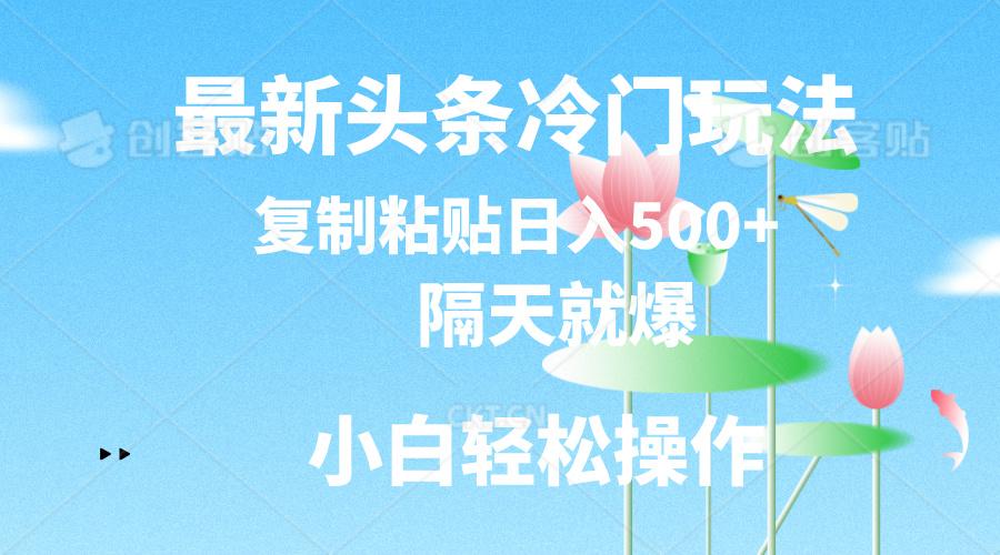 最新头条冷门玩法，隔天就爆，复制粘贴日入500+-搞个副业