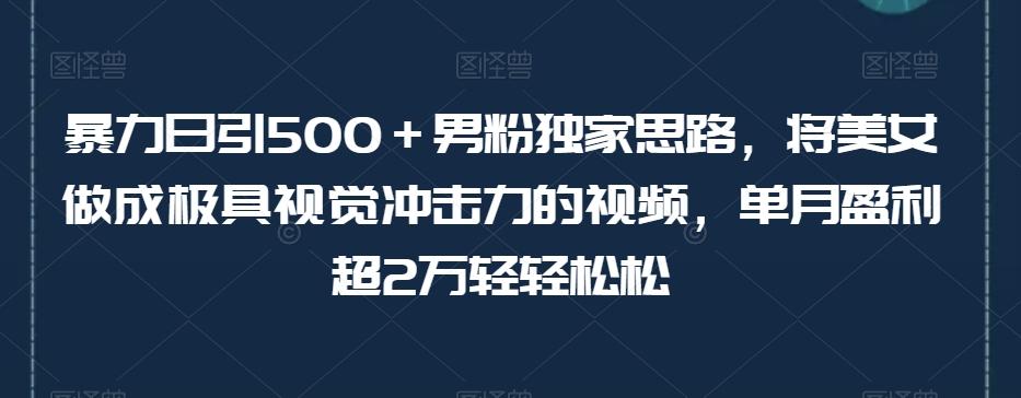 暴力日引500＋男粉独家思路，将美女做成极具视觉冲击力的视频，单月盈利超2万轻轻松松-搞个副业