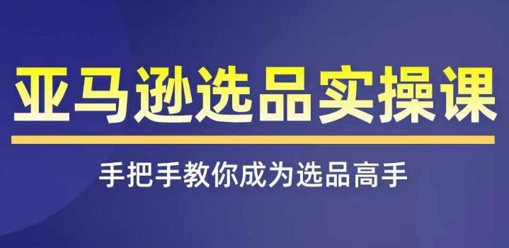 亚马逊选品实操课程，快速掌握亚马逊选品的技巧，覆盖亚马逊选品所有渠道-搞个副业