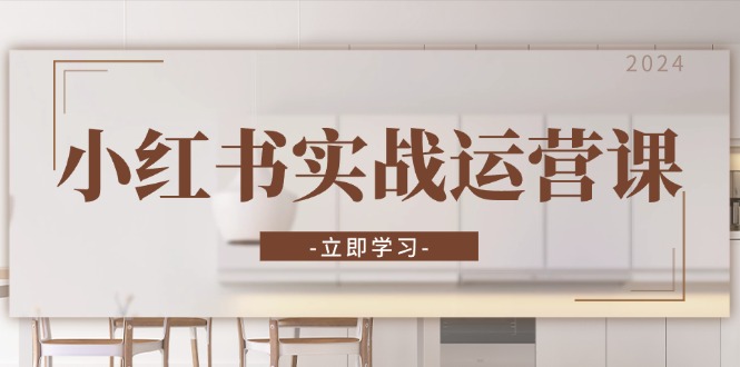 小红书实战运营课：从开通店铺到直播话术，打造爆款笔记与高效直播-搞个副业
