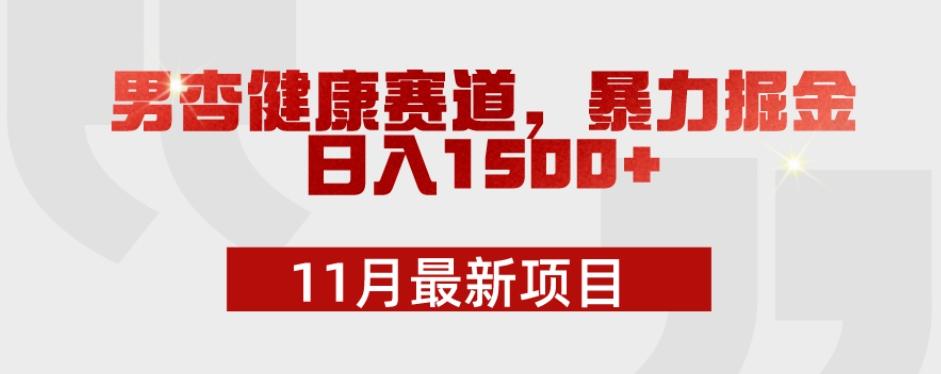 11月最新项目，男杏健康赛道，暴力掘金，日入1500+-搞个副业