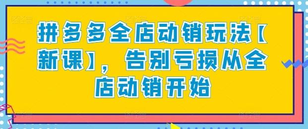 拼多多全店动销玩法【新课】，告别亏损从全店动销开始-搞个副业