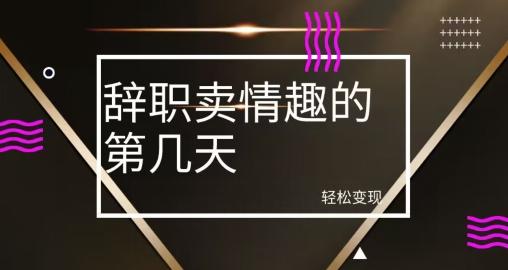 冷门赛道，辞职卖情趣的第几天，超暴力项目-搞个副业