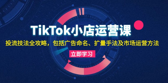 TikTok小店运营课：投流技法全攻略，包括广告命名 扩量手法及市场运营方法-搞个副业