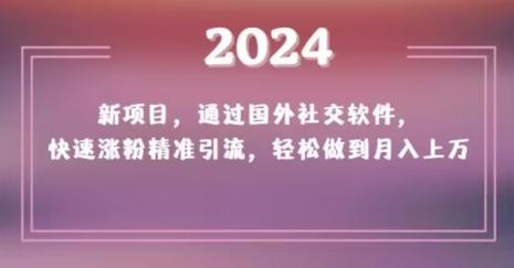 2024新项目，通过国外社交软件，快速涨粉精准引流，轻松做到月入上万【揭秘】-搞个副业
