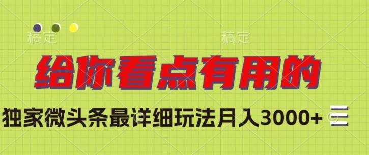 独家微头条最详细玩法，月入3000+【揭秘】-搞个副业