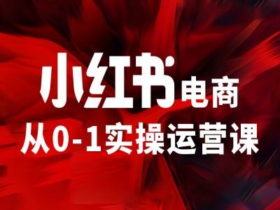 小红书电商从0-1实操运营课，让你从小白到精英-搞个副业