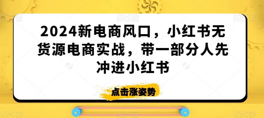 2024新电商风口，小红书无货源电商实战，带一部分人先冲进小红书-搞个副业