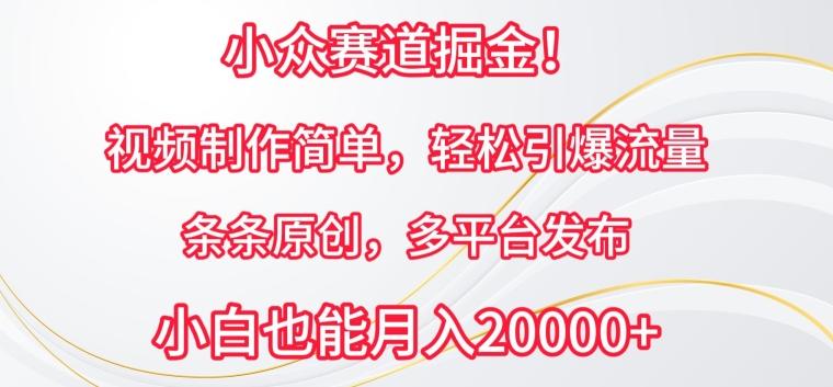 小众赛道掘金，视频制作简单，轻松引爆流量，条条原创，多平台发布【揭秘】-搞个副业