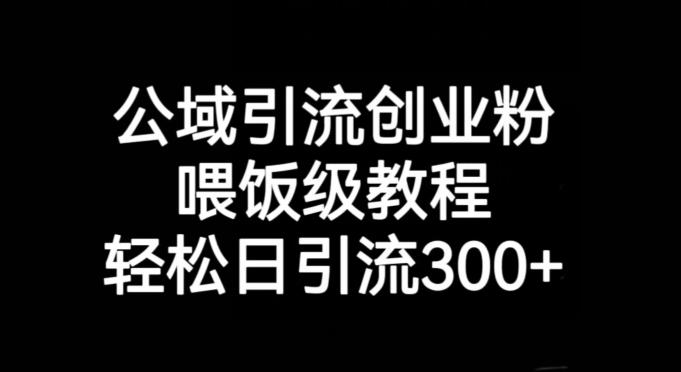 公域引流创业粉，喂饭级教程，轻松日引流300+【揭秘】-搞个副业