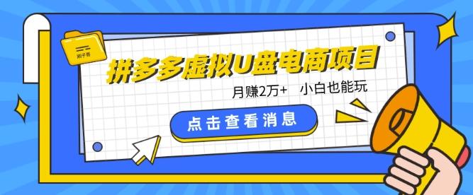 拼多多虚拟U盘电商红利项目：月赚2万+，新手小白也能玩-搞个副业
