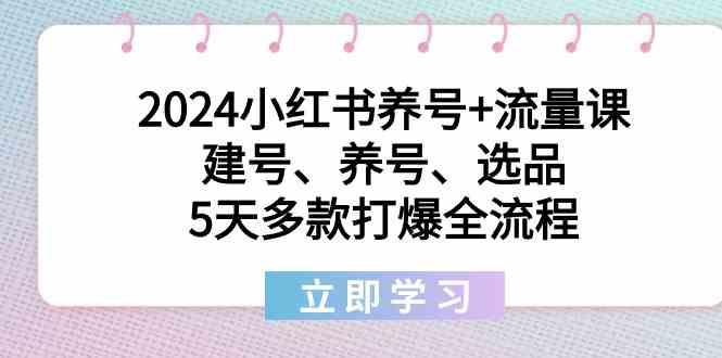 2024小红书养号+流量课：建号、养号、选品，5天多款打爆全流程-搞个副业