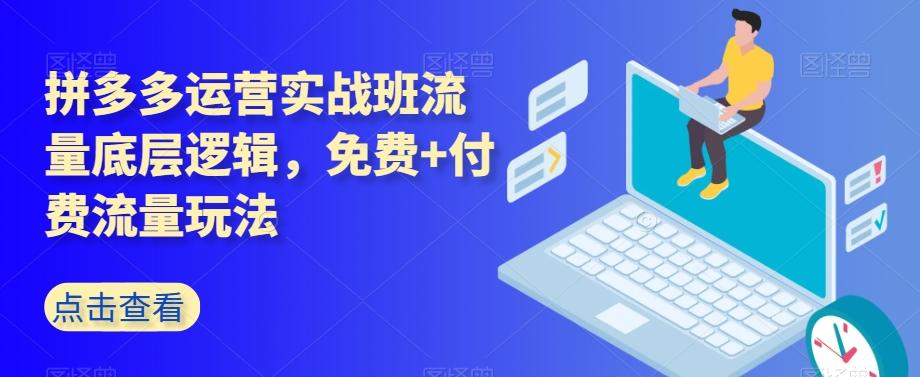 拼多多运营实战班流量底层逻辑，免费+付费流量玩法-搞个副业