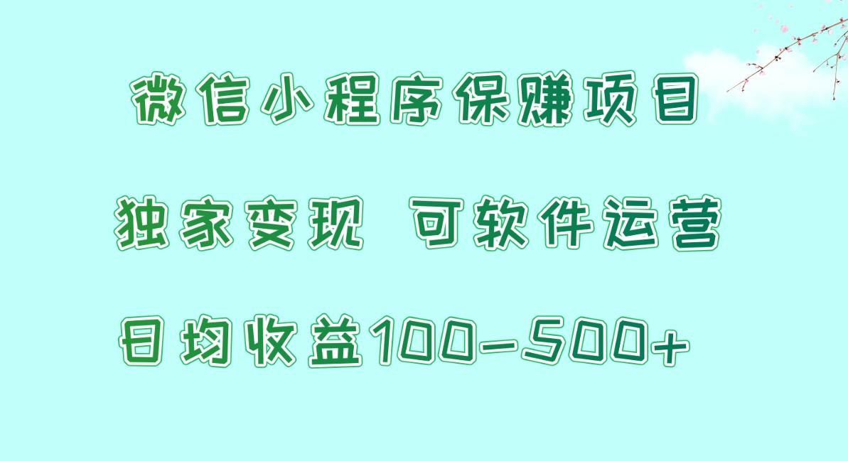 微信小程序保赚项目，日均收益100~500+，独家变现，可软件运营-搞个副业