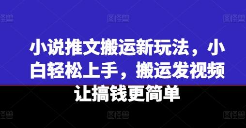 小说推文搬运新玩法，小白轻松上手，搬运发视频让搞钱更简单-搞个副业
