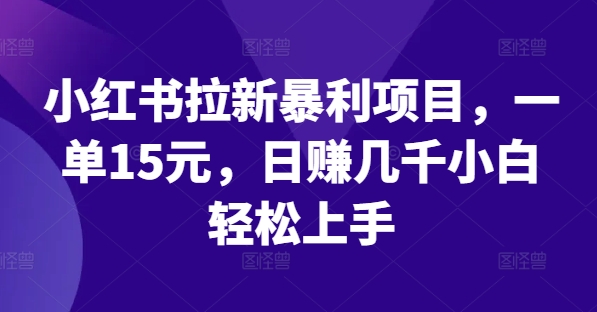 小红书拉新暴利项目，一单15元，日赚几千小白轻松上手【揭秘】-搞个副业