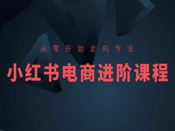 从零开始走向专业，小红书电商进阶课程-搞个副业