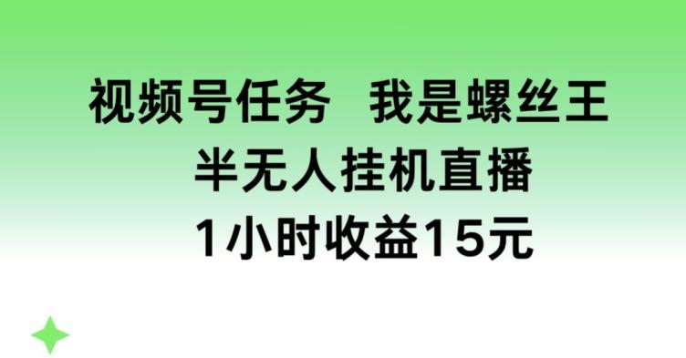 视频号任务，我是螺丝王， 半无人挂机1小时收益15元【揭秘】-搞个副业
