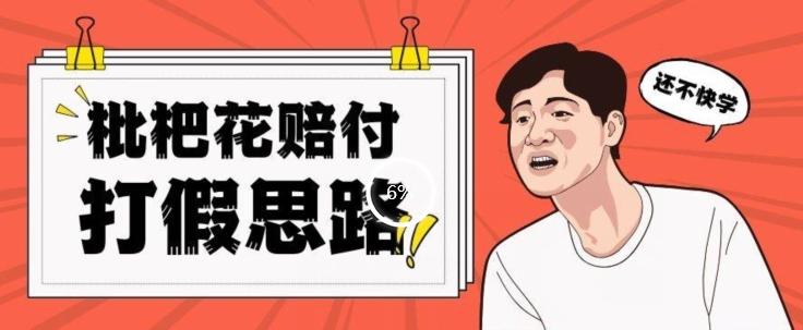 最新打假原料枇杷花赔付玩法一单收益1000+小白轻松下车【详细视频玩法教程】【仅揭秘】-搞个副业