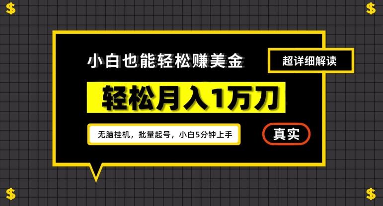 谷歌看广告撸美金2.0，无脑挂机，多号操作，月入1万刀【揭秘】-搞个副业