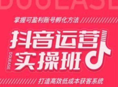 抖音运营实操班，掌握可盈利账号孵化方法，打造高效低成本获客系统-搞个副业