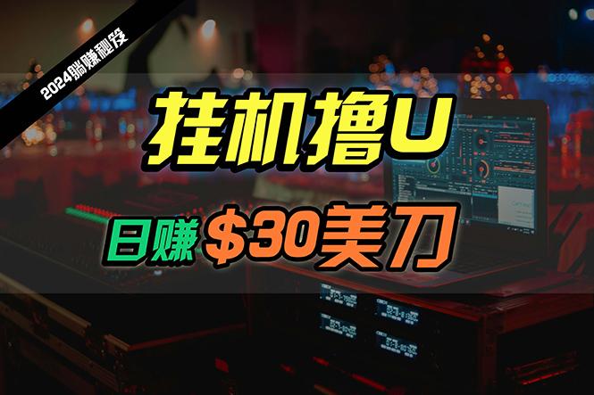 (10013期)日赚30美刀，2024最新海外挂机撸U内部项目，全程无人值守，可批量放大-搞个副业