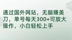 通过国外网站，无脑赚美刀，单号每天300+可放大操作，小白轻松上手【揭秘】-搞个副业