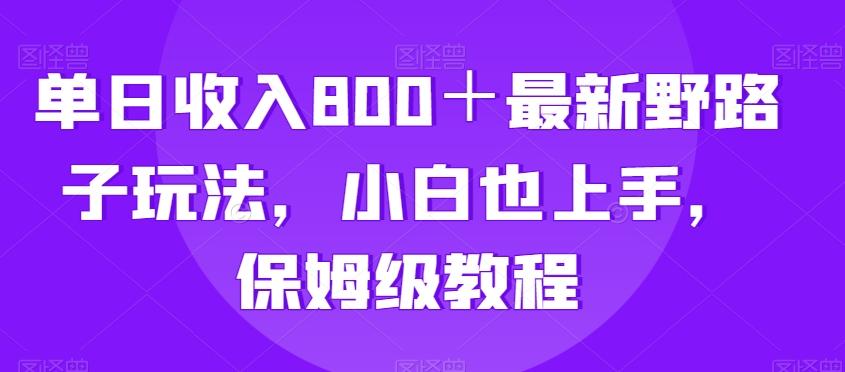 单日收入800＋最新野路子玩法，小白也上手，保姆级教程-搞个副业