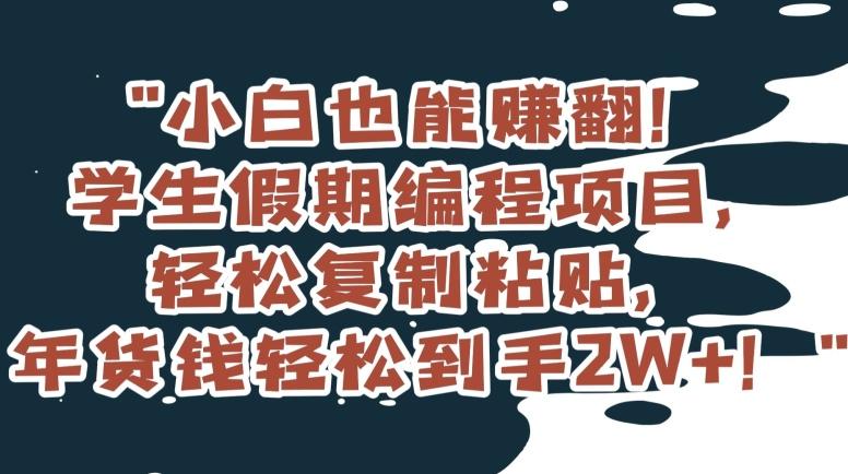 小白也能赚翻！学生假期编程项目，轻松复制粘贴，年货钱轻松到手2W+【揭秘】-搞个副业