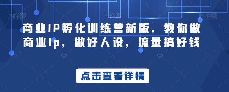 商业IP孵化训练营新版，教你做商业Ip，做好人设，流量搞好钱-搞个副业