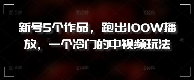 新号5个作品，跑出100W播放，一个冷门的中视频玩法【揭秘】-搞个副业