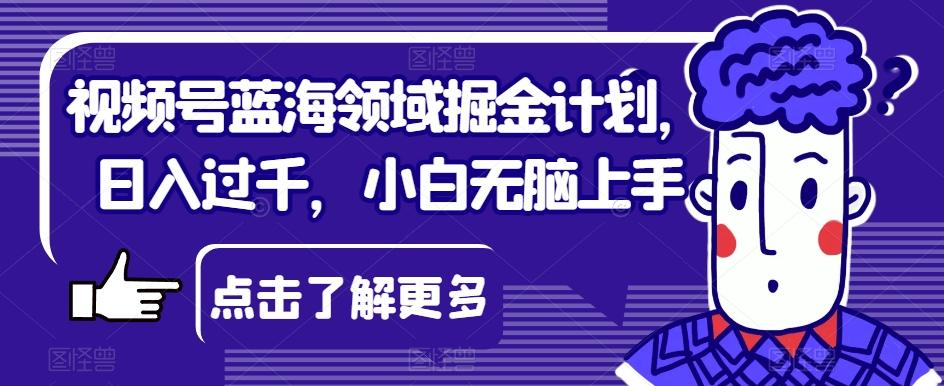 视频号蓝海领域掘金计划，日入过千，小白无脑上手【揭秘】-搞个副业