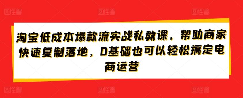 淘宝低成本爆款流实战私教课，帮助商家快速复制落地，0基础也可以轻松搞定电商运营-搞个副业