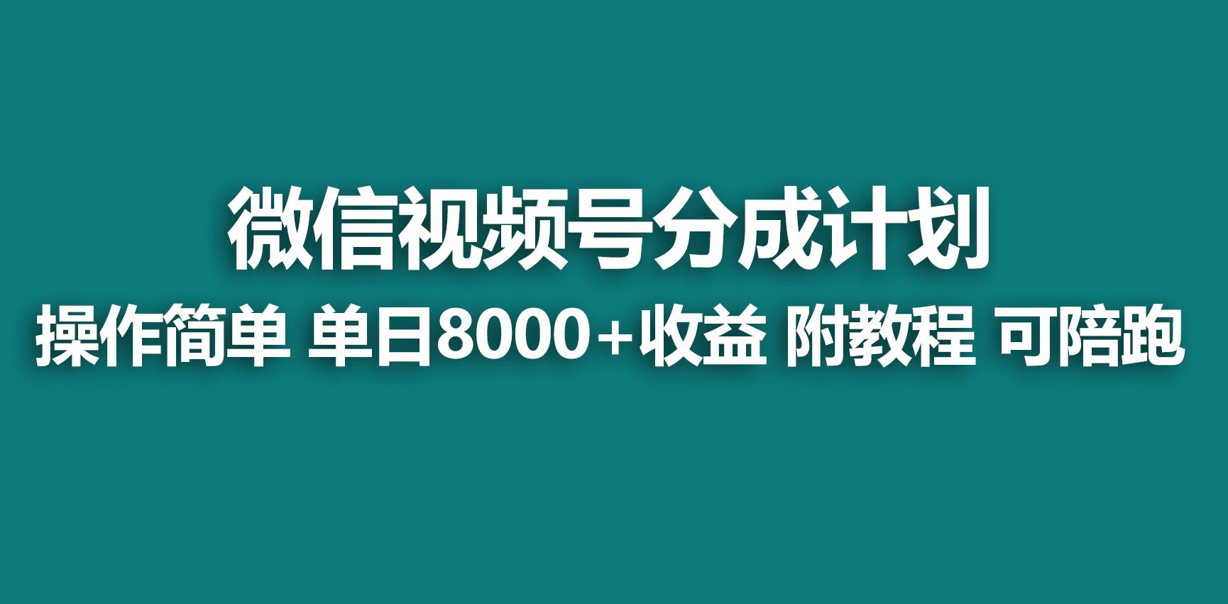 【蓝海项目】视频号分成计划，快速开通收益，单天爆单8000+，送玩法教程-搞个副业