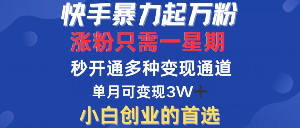 快手暴力起万粉，涨粉只需一星期，多种变现模式，直接秒开万合，单月变现过W【揭秘】-搞个副业