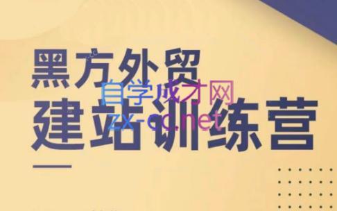 黑方老师·谷歌B端独立站建站推广-搞个副业