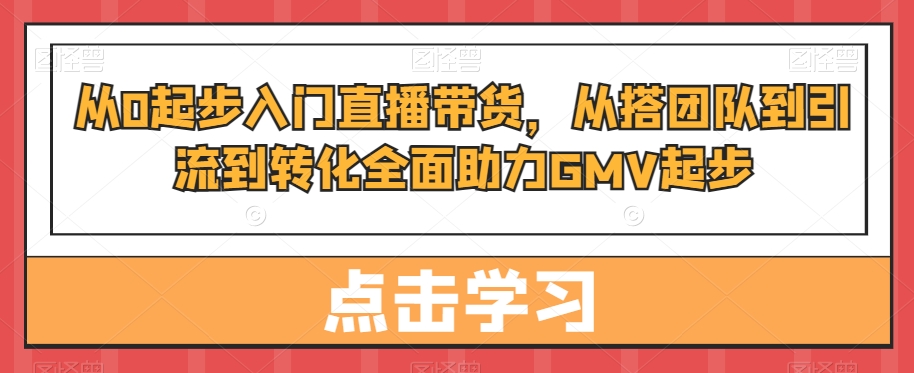 从0起步入门直播带货，​从搭团队到引流到转化全面助力GMV起步-搞个副业